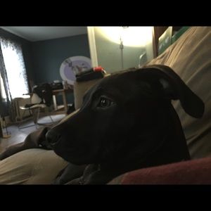 Meet your Posher, Tonya